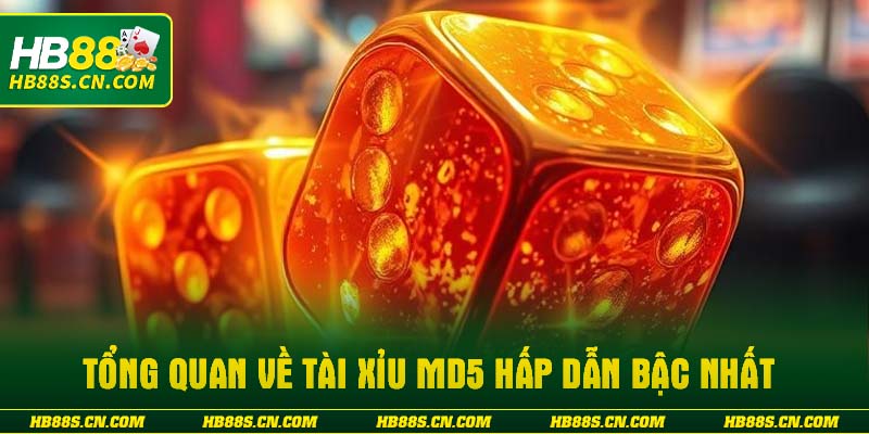 Tổng quan về tài xỉu MD5 hấp dẫn bậc nhất